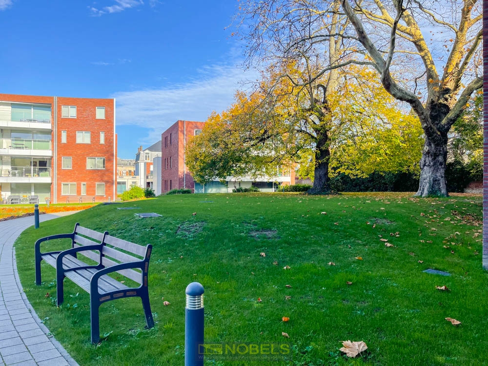 Te huur, energiezuinig, modern appartement in rustige omgeving te Ronse - foto 3