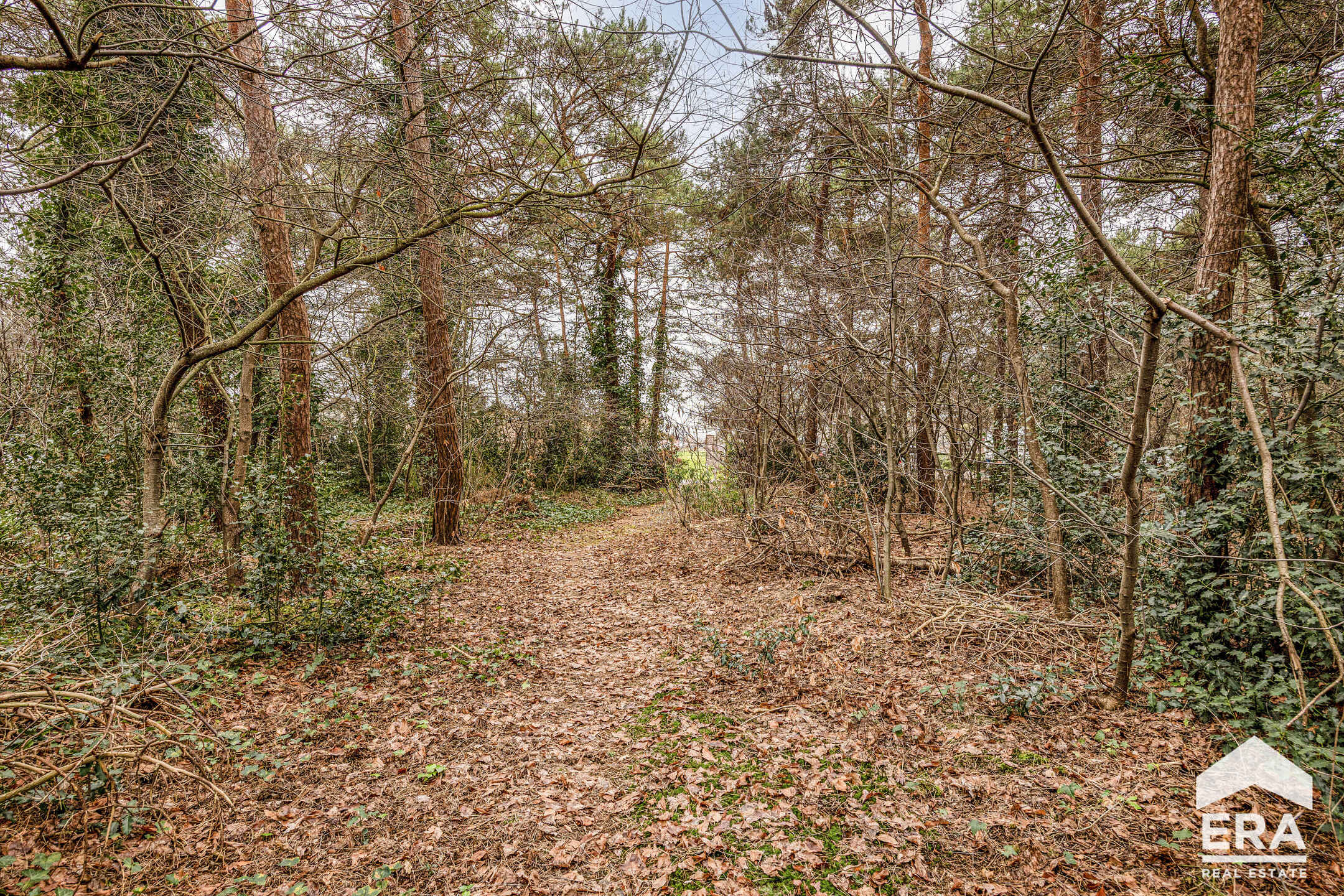 Prachtige bouwgrond (1614m²) te koop in Lommel - foto 5