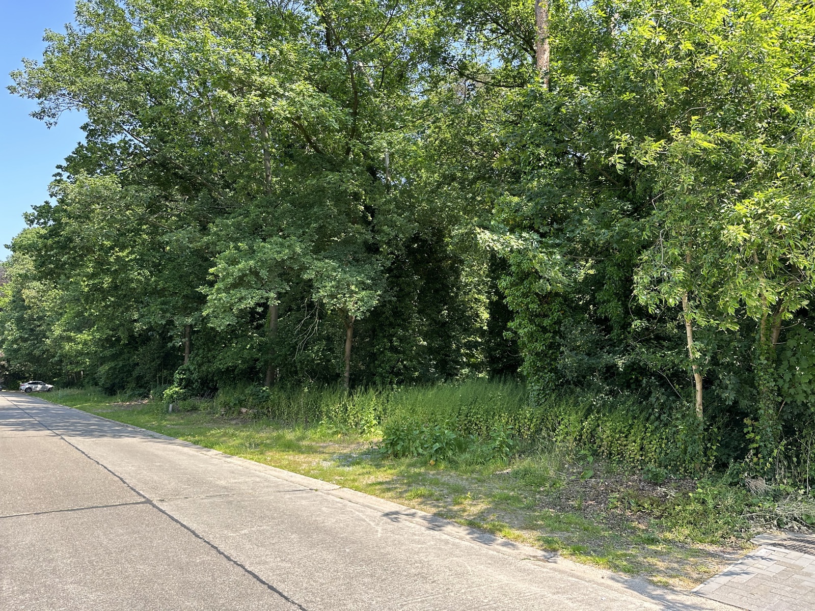 Land for sale in Wuustwezel - photo 3