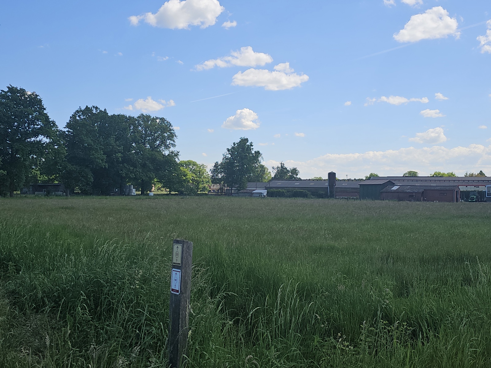 Landbouwgrond van 59a40ca. - foto 1