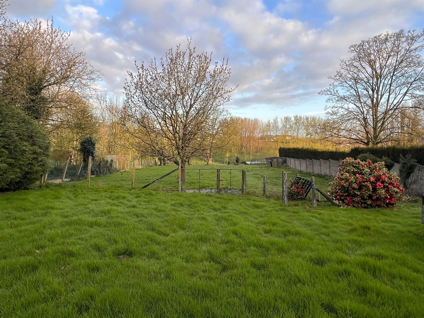 Dorpswoning onder de kerktoren - foto 3