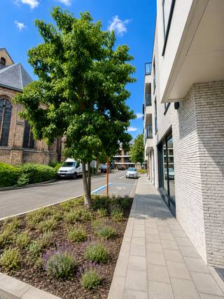 Appartement à louer à Staden