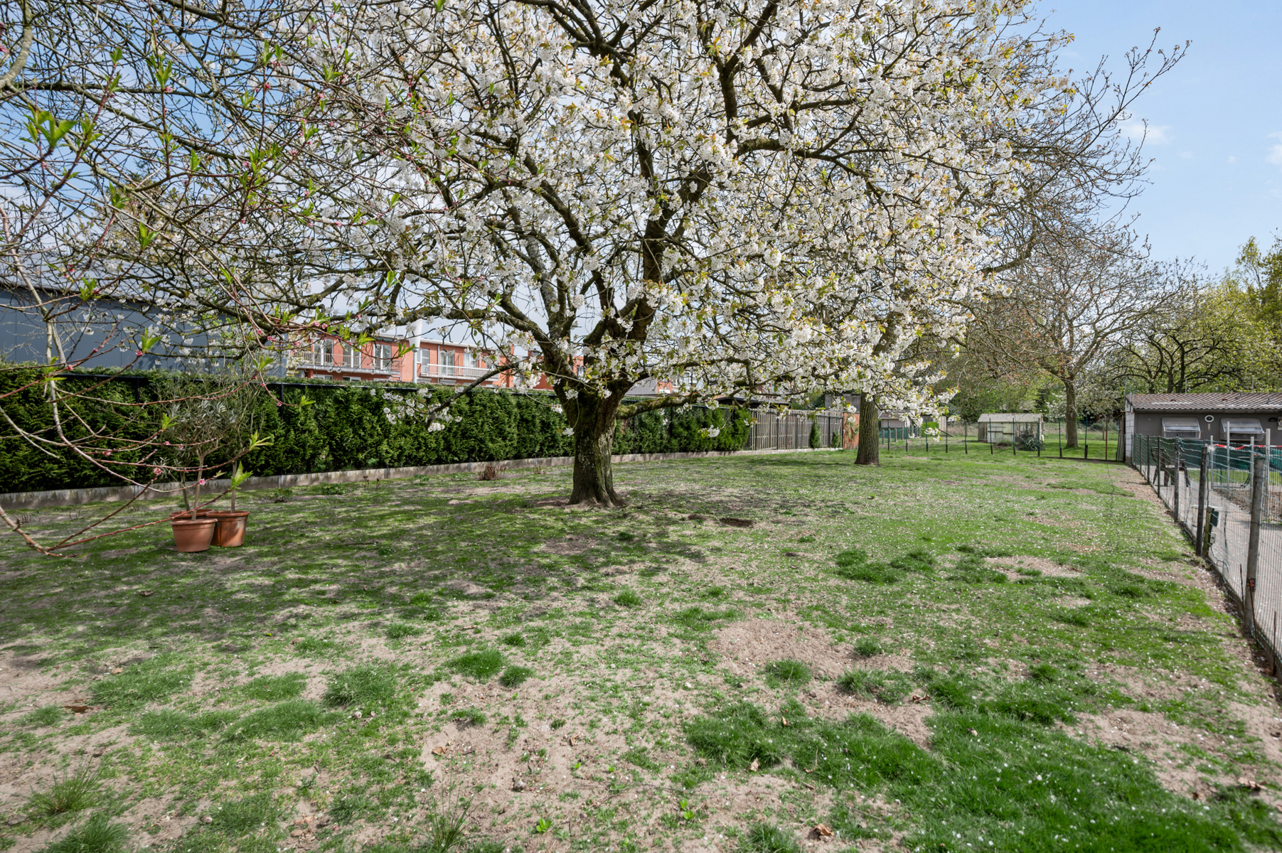 Maison à vendre à Beveren-Kruibeke-Zwijndrecht avec 4 chambres - photo 5