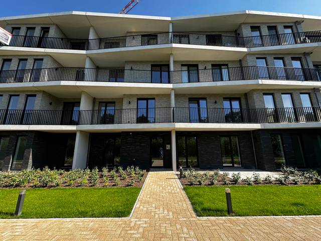 Project te koop in Oud-Turnhout