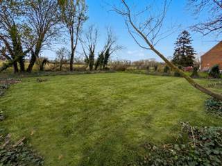 Grond te koop in Edingen