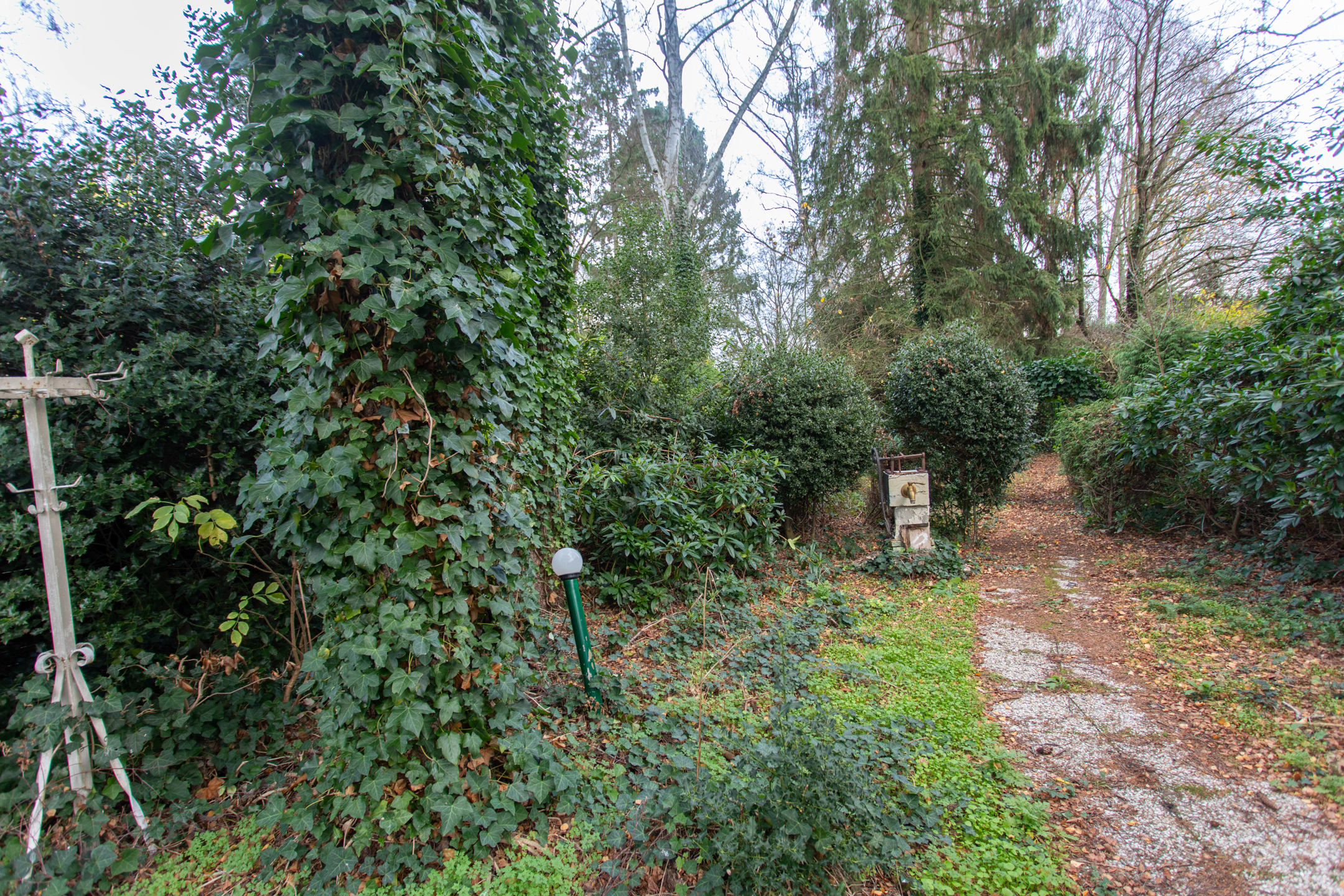 Maison à vendre à Essen avec 5 chambres - photo 3