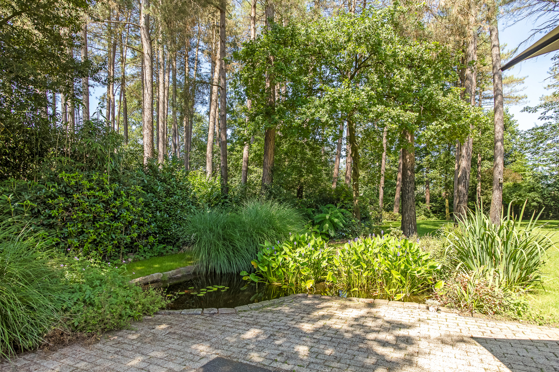 Maison à vendre à Oud-Turnhout avec 5 chambres - photo 2
