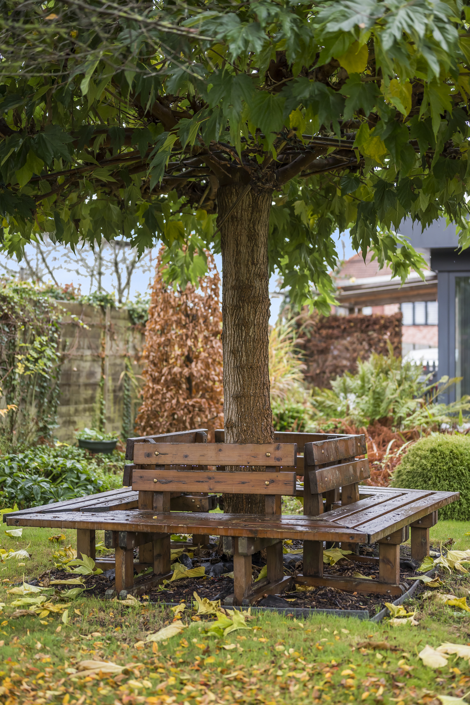 Open bebouwing met prachtige tuin - foto 5