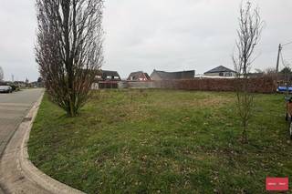 Land for sale in Beerse