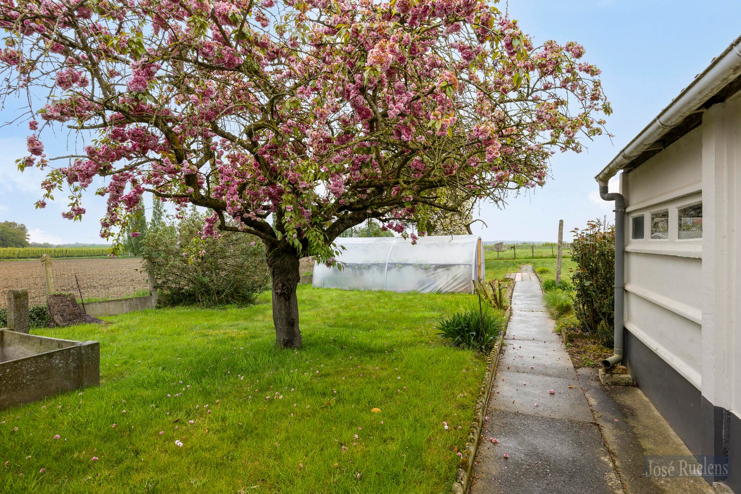 Maison à vendre à Glabbeek avec 3 chambres - photo 2