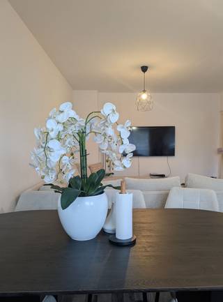 Apartment for rent in Antwerp