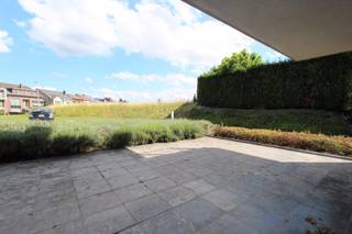 Dit ruim appartement is gelegen op het gelijkvloers van een recent gebouw aan het einde van de Driekruisenstraat, met achterzijde aan de Bilzersteenweg, op wandelafstand van het stadscentrum.<br /><br />INDELING: inkomhal met vestiairehoek en apart toilet, glazen deur naar de ruime woonkamer met kamerbreed schuifraam naar het ruim zonneterras. Moderne keuken, volledig ingericht met Siemens toestellen (keramische kookplaat, dampkap, combi-oven, koelkast met vriesvak en vaatwasser), met naastgelegen berging en wasruimte.<br />Nachthal, badkamer met douche en bad, drie slaapkamers en achtergelegen terras.<br /><br />In het kelderverdiep een autostaanplaats en private berging.<br /><br />De huurprijs bedraagt 980 euro per maand + 135 euro per maand voorschot voor gemeenschappelijke kosten.<br /><br />Extra inbegrepen in gemeenschappelijke kosten: brandverzekering, gratis water in de toiletten!<br /><br />BEZICHTIGING ENKEL NA TELEFONISCHE AFSPRAAK MET ONS KANTOOR OP 012 23 00 23