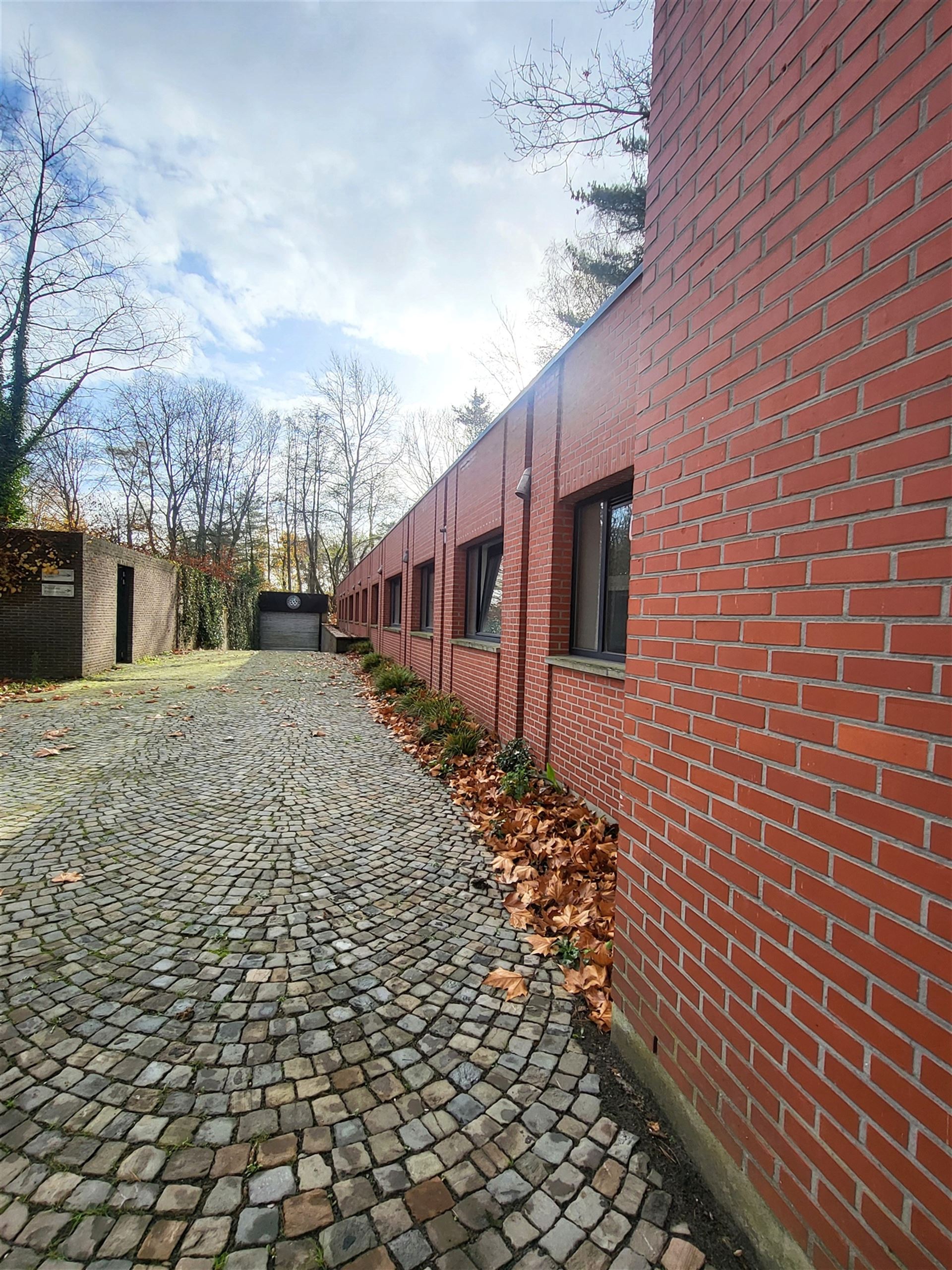 Villa met professionele opslagruimte, kelder en kantoorruimtes. - foto 5