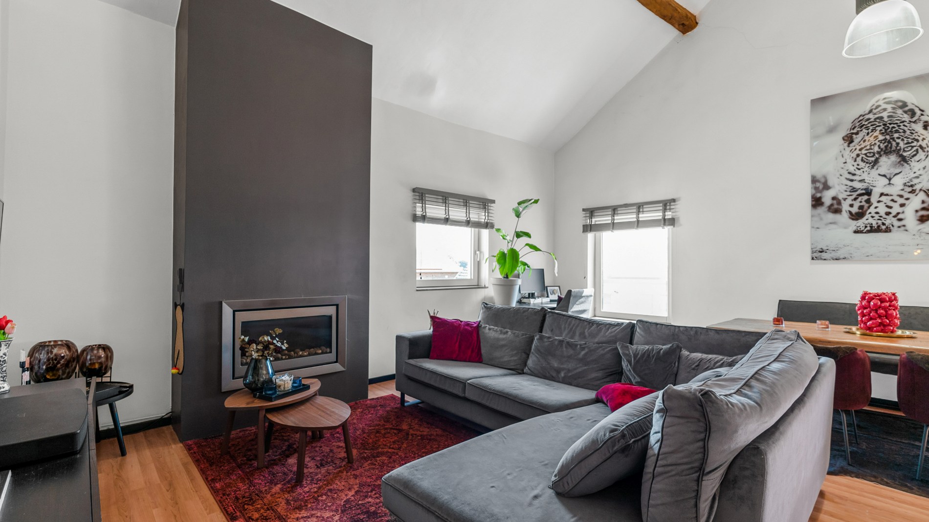 Betaalbare loft gelegen in Genoelselderen op 20 minuutjes van Maastricht! - foto 5