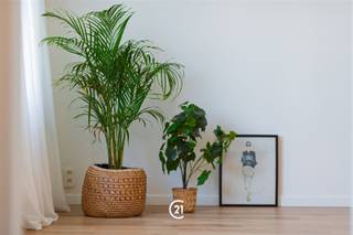 Apartment for rent in Antwerp