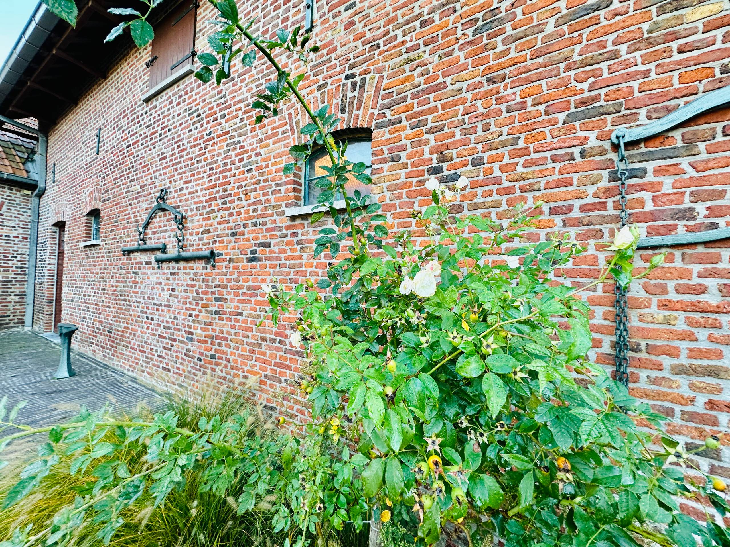 Unieke loods (189 m²) met ruime inrijpoort (en 6 garages) - foto 3