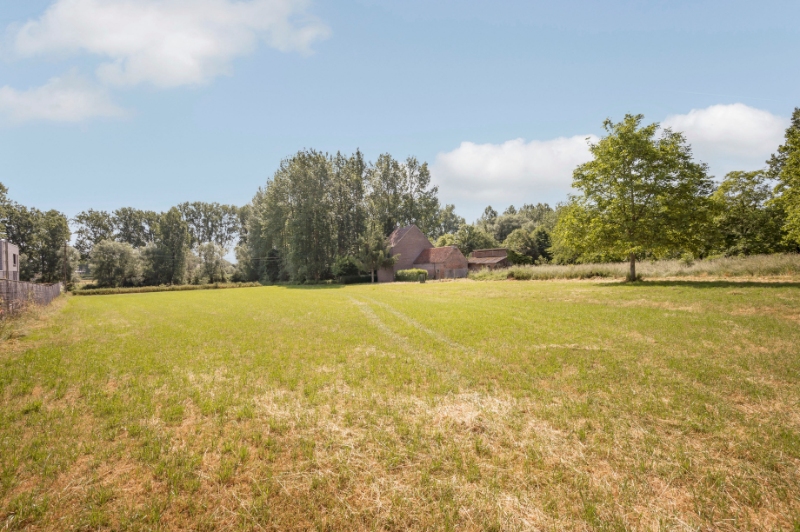 Land for sale in Steenhuize-Wijnhuize - photo 1