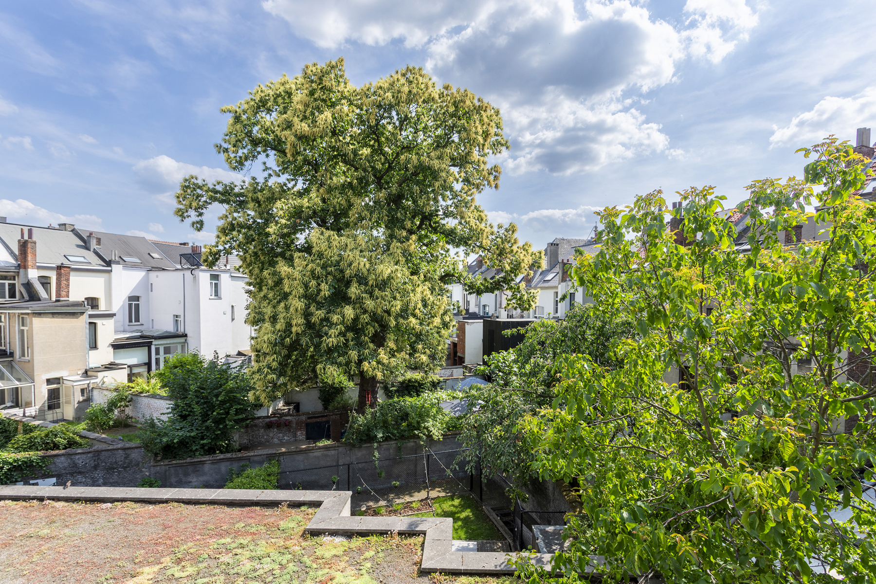 Stijlvol wonen nabij Zurenborg met uitzicht op groen - foto 4
