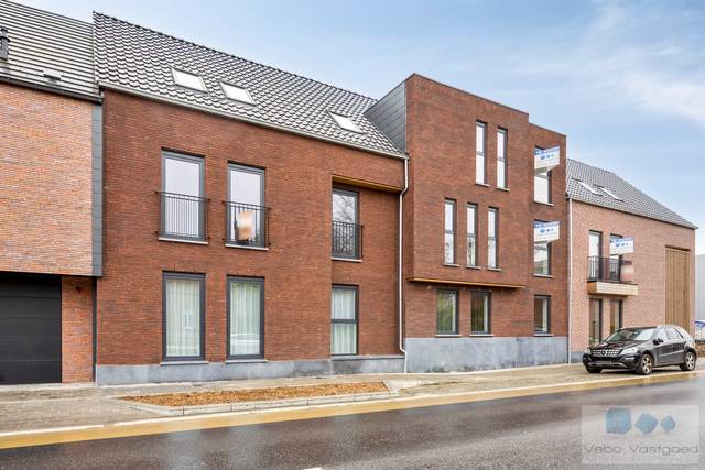 Project for sale in Berlaar