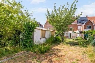 Bent u op zoek naar een ruime woning te koop in Wevelgem met tal van mogelijkheden? Deze verrassend ruime gezinswoning ligt rustig in het centrum van Wevelgem en beschikt over maar liefst 6 slaapkamers, een grote tuin en een praktisch atelier.
Via de inkomhal komt u in de lichtrijke leefruimte met een mooi uitzicht op de veranda en de tuin. Aansluitend bevindt zich de keuken. Op het gelijkvloers vindt u bovendien een slaapkamer, een badkamer en een tweede veranda. Hierdoor is gelijkvloers wonen perfect mogelijk.
Op de eerste verdieping bevinden zich vijf volwaardige slaapkamers, een apart toilet en de aansluitingen voor een tweede badkamer. Via een vaste trap bereikt u de zolder, waar eenvoudig een extra kamer, bureau of hobbyruimte kan worden ingericht.
Buiten geniet u van een ruime, zonnige tuin met terras. Het atelier van 4 x 8 meter biedt tal van mogelijkheden als opslagruimte, werkplaats of hobbyruimte.
Troeven
• 6 ruime slaapkamers
• Mogelijkheid tot gelijkvloers wonen
• Grote tuin met terras
• Loods van 4 x 8 meter
• Veel opslag- en hobbyruimte
• Rustige, centrale ligging in Wevelgem
• Zolder met uitbreidingsmogelijkheden
Deze veelzijdige woning biedt de ideale combinatie van ruimte, comfort en potentieel. Perfect voor grote gezinnen, zelfstandigen of wie op zoek is naar extra woon- en bergruimte.
Interesse? Contacteer arne@immobeguin.be voor meer informatie of een bezoek ter plaatse.