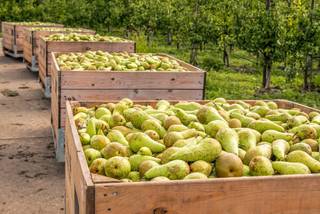 House for sale in Sint-Truiden