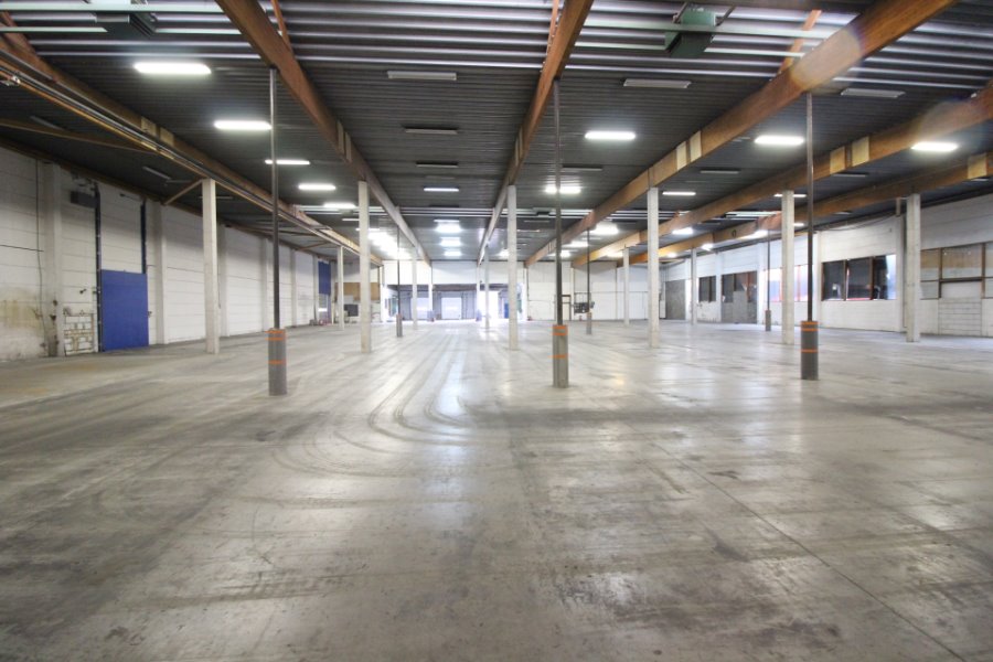 Opslagruimte van 380 m² tot 5.000 m² te huur - photo 2