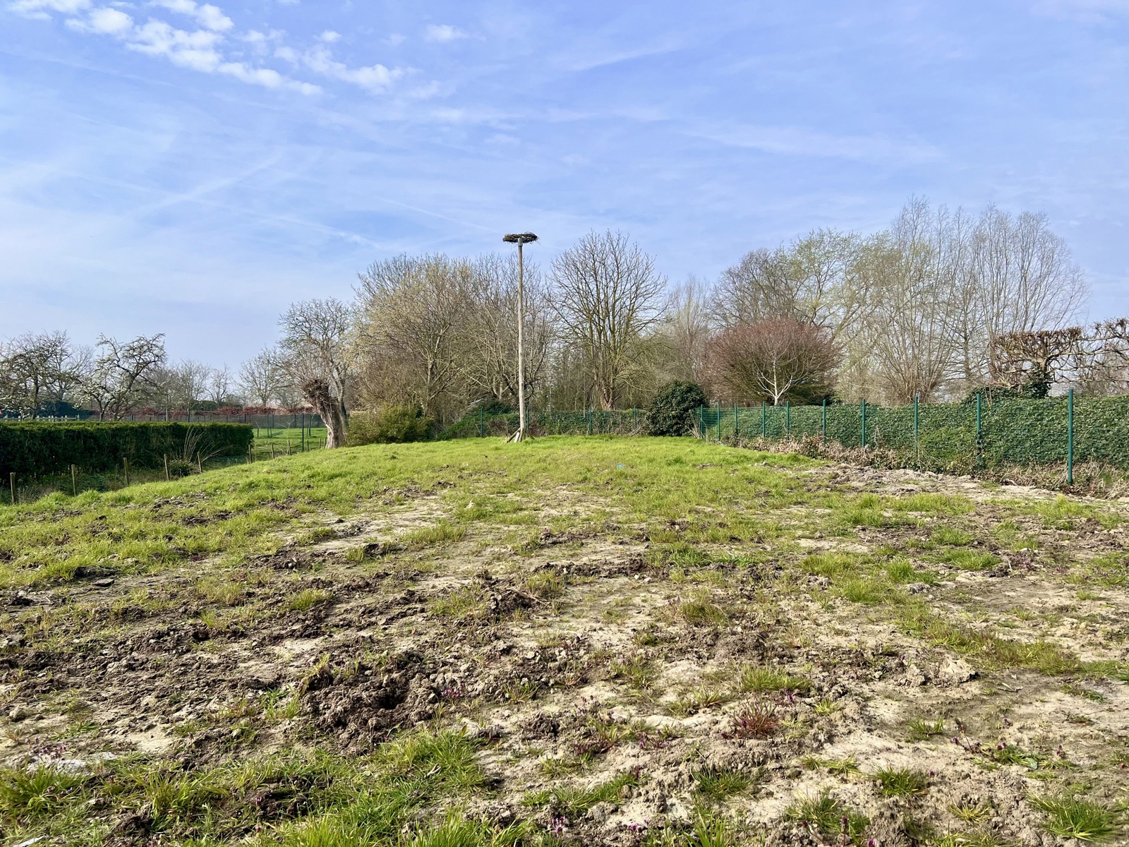 Nieuwbouw koppelvilla met zongerichte tuin - foto 4