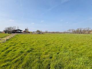 Verborgen in het idyllische landschap, bevindt zich deze AUTHENTIEKE, totaal TE RENOVEREN HOEVE met diverse BIJGEBOUWEN, omringd door weiland...