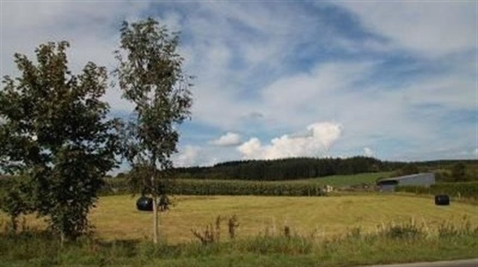 Villagrond Ardennen - foto 1