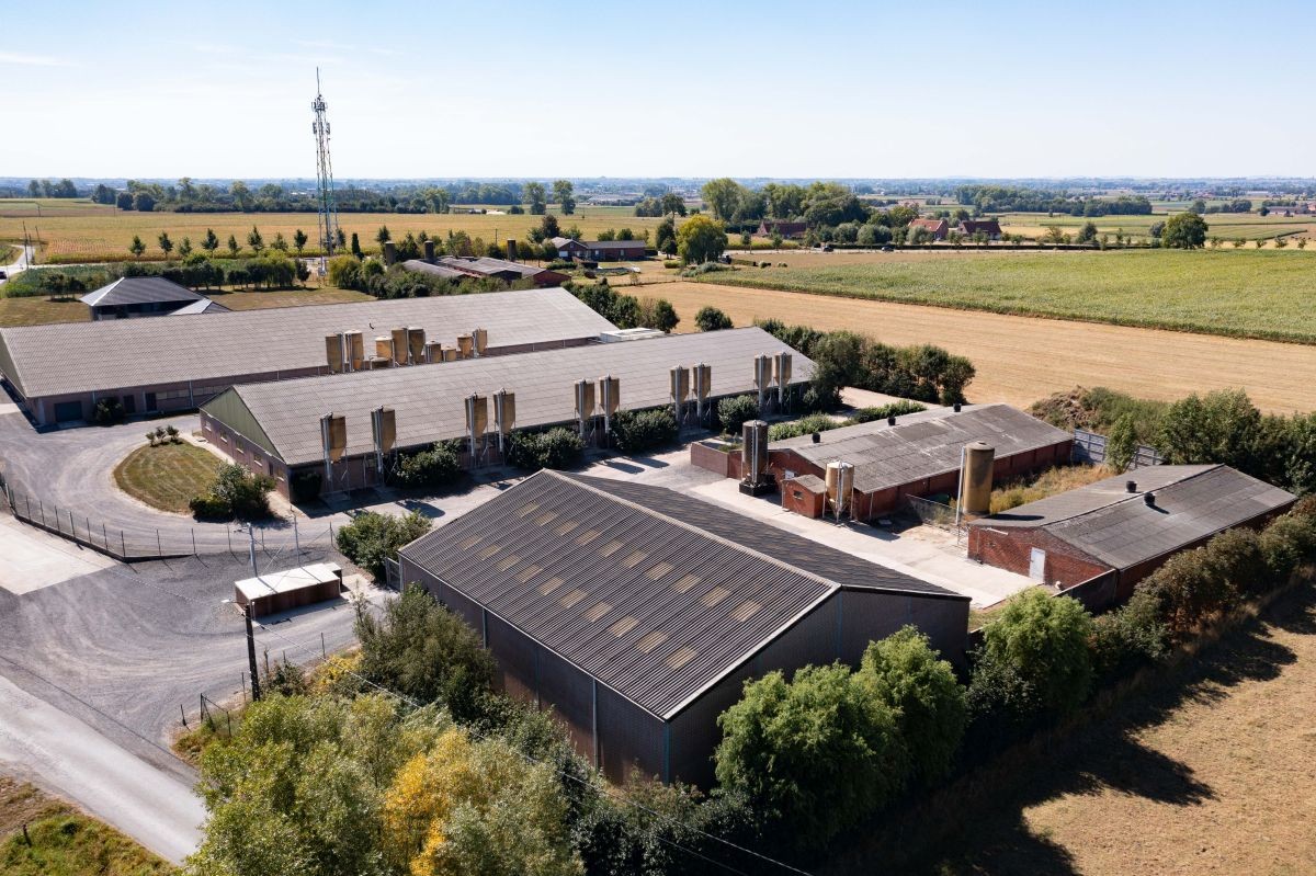 Modern varkensbedrijf te koop te Koekelare - foto 5