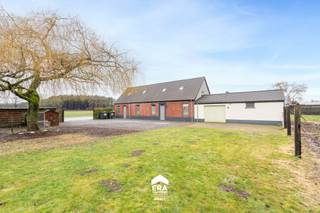 Deze charmante langgevelhoeve is gelegen in een groene, landelijke omgeving nabij het centrum van Peer. Achteraan geniet u van een vrij uitzicht...