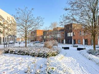 Deze recente energiezuinige woning is zeer gunstig en rustig gelegen op het nieuwe woonerf Niefhout, op wandelafstand van de Nieuwe Kaai en van...