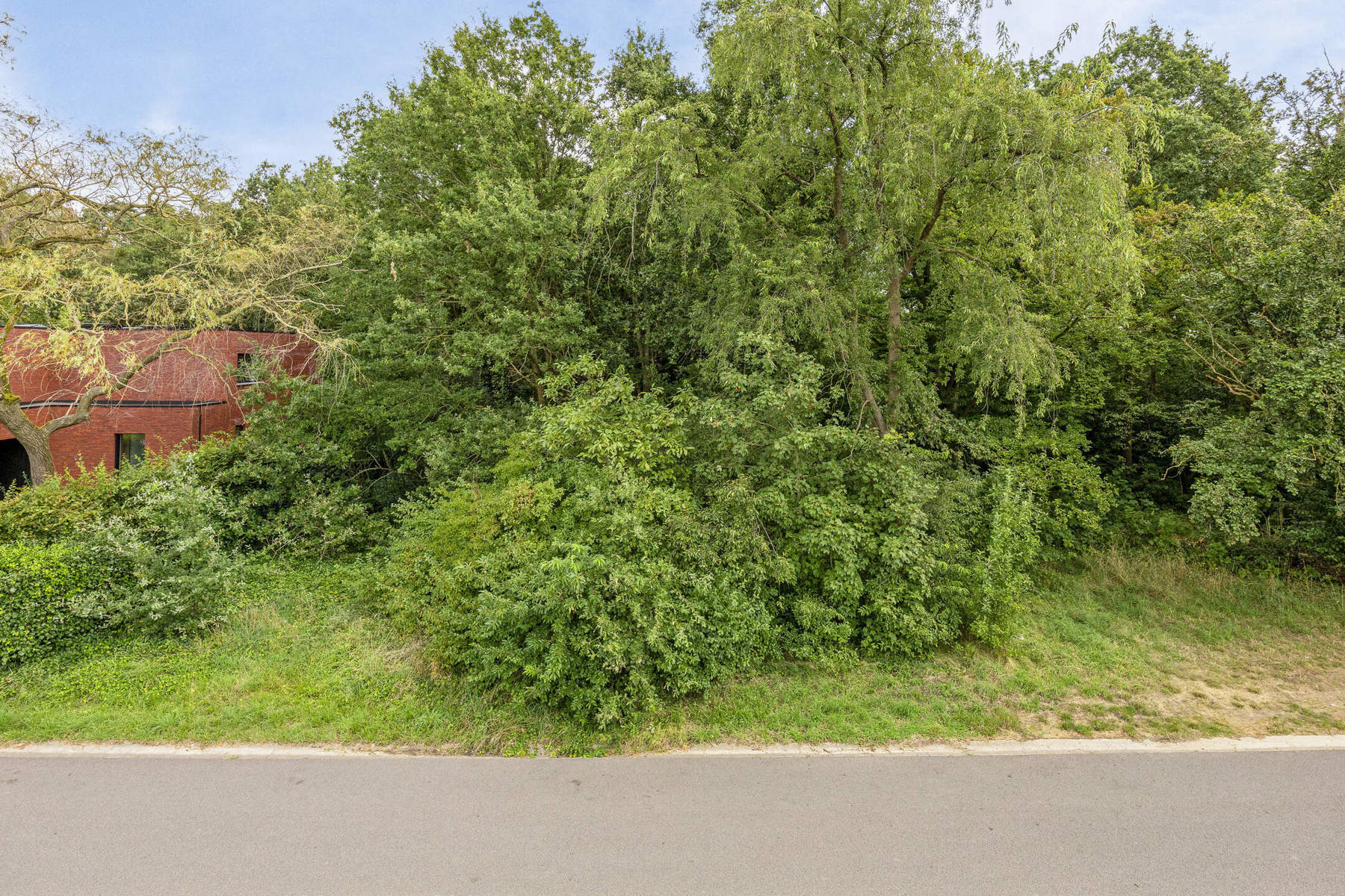 Bouwgrond 14a14ca voor open bebouwing in Tremelo! - foto 3