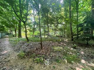 Discrete verkoop in de begeerde villawijk van het Bos de Strioux. Villa (1992) op een perceel van 41are95 en naastliggende bouwgrond (nu bos) van 47are49 op het einde van een doodlopend straatje. Contacteer ons voor een afspraak op kantoor voor extra informatie en foto's en een eventueel bezoek ter plaatse