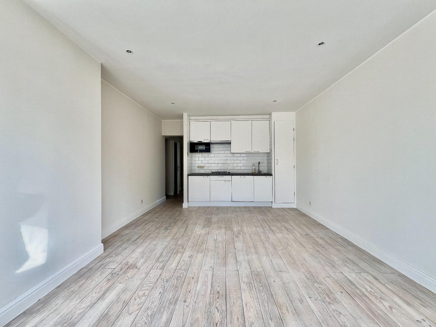 Lichtrijk 1slpk app in centrum Antwerpen - foto 3