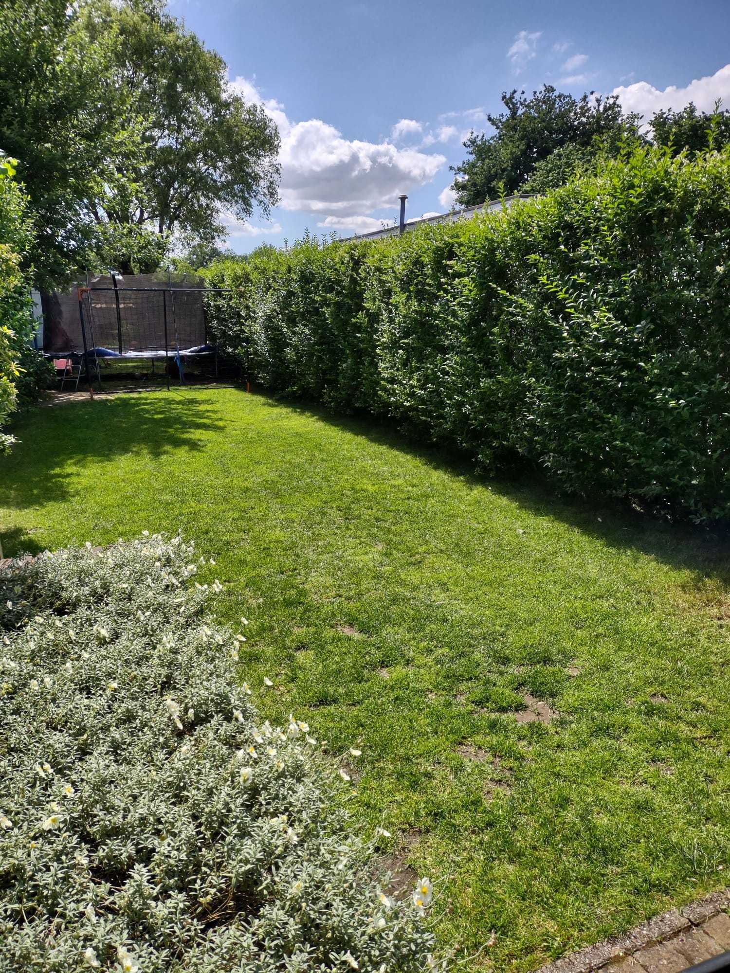 Huis te koop in Wilrijk met 3 slaapkamers - foto 5