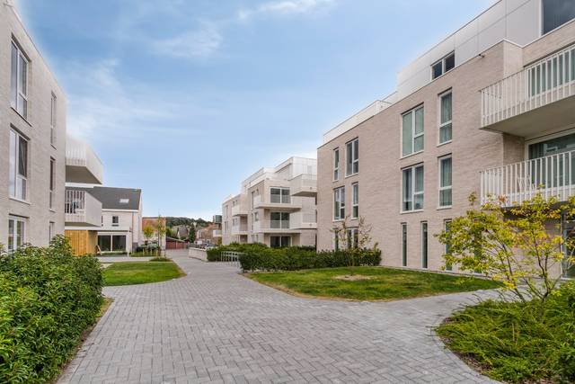 Project te koop in Ronse