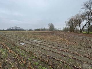 Goed gelegen landbouwgrond met opp van 12.630m² te Putte! <br /><br />Deze landbouwgrond is vrij van pacht! <br /><br />De landbouwgrond is makkelijk te bereiken en is gelegen naast een asfaltweg. <br /><br />Meer info vindt u op www.debaco.be of bel ons op 014/73.77.77