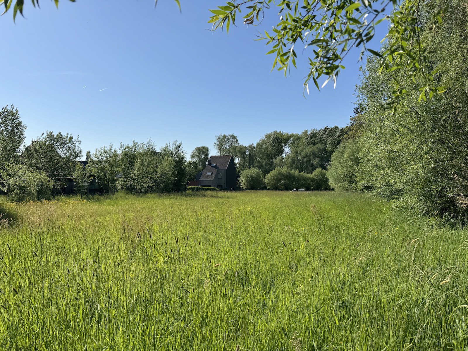 Grond te koop in Aalst - foto 5
