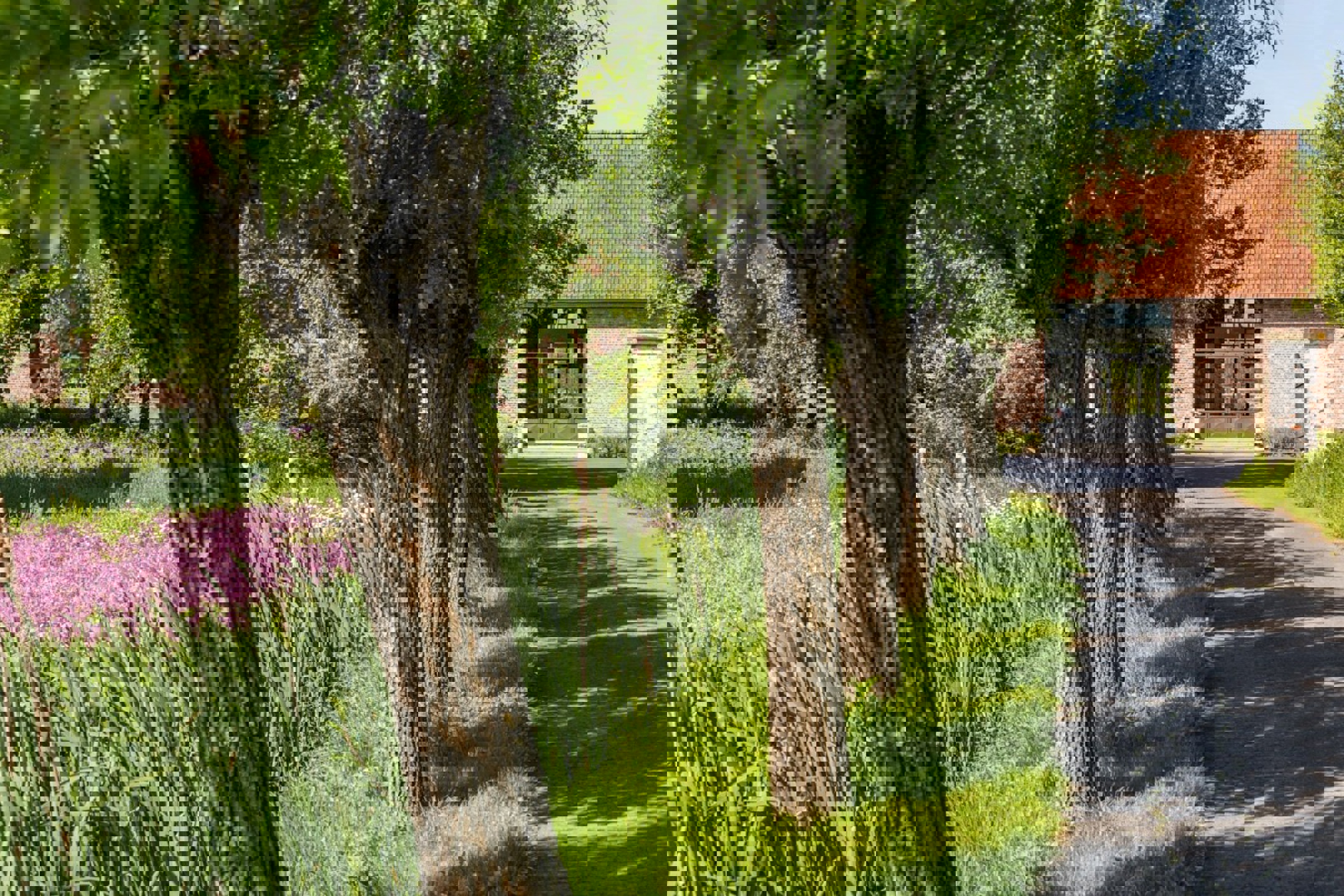 Prachtige hoevewoning met loods en bouwgrond op 2,7 hectare - foto 3