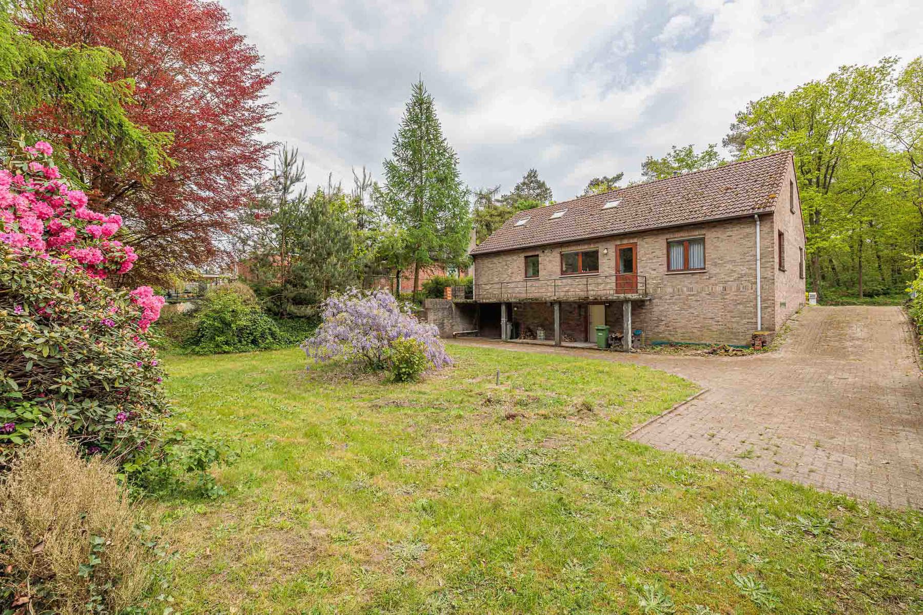 Open woning met 4slpk en volledige onderkeldering op 1.372m² - foto 4