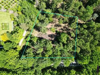 Terrain à vendre à Brasschaat