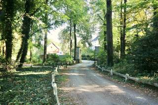 Een bijzondere woonbeleving in het groen, waar karakter, rust en ruimte elkaar ontmoeten.
In een uitzonderlijke en idyllische omgeving, midden in een prachtig kasteelpark aan de rand van Lembeke, bevindt zich deze karaktervolle woning. Een zeldzame plek waar de charme van het historische landschap wordt gecombineerd met de vrijheid van landelijk wonen.
Omgeven door groen en rust geniet u hier van een unieke woonomgeving terwijl het dorpscentrum van Lembeke vlakbij gelegen is.
Een bijzondere meerwaarde vormt het atelier / de multifunctionele ruimte, rechtstreeks aansluitend aan de woning. Deze veelzijdige ruimte leent zich uitstekend als stijlvolle werkplek, atelier, creatieve studio of hobbyruimte. Daarnaast beschikt de woning over een garage, wat het geheel nog praktischer maakt.
De indeling is als volgt: een leefruimte met keuken, 2 slaapkamers, een badkamer, een kelder, een zolder en een tuin. Palend aan de woning heeft u een atelier/ multifunctionele ruimte.
De woning beschikt over een garage.
Wonen met een bijzondere levensstijl
Voor bewoners die zich aangesproken voelen door natuur, duurzaamheid en een bewuste levensstijl bestaat bovendien de mogelijkheid om deel te nemen aan een permacultuurproject, georganiseerd door de verhuurder.
Dit maakt de woning meer dan een comfortabele verblijfplaats: het is een plek waar wonen, natuur, creativiteit en verbinding op een bijzondere manier samenkomen.
Een zeldzame kans
Deze woning is bestemd voor wie op zoek is naar iets anders dan het klassieke huurconcept: een karaktervolle woning op een uitzonderlijke locatie, ingebed in een groene en inspirerende omgeving.
Een exclusieve woonplek voor wie waarde hecht aan rust, authenticiteit en een unieke levensomgeving.
Wenst u een bezoek aan deze uniek gelegen woning? Maak uw afspraak via www.vastgoeduniucm.be of mail naar verhuur@vastgoedunicum.be.