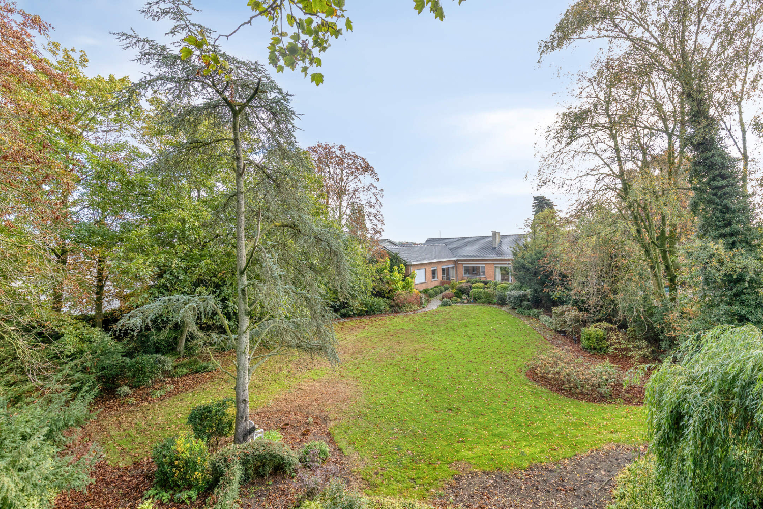 Uniek perceel met villa, loods en uitbreidingsmogelijkheiden - photo 5