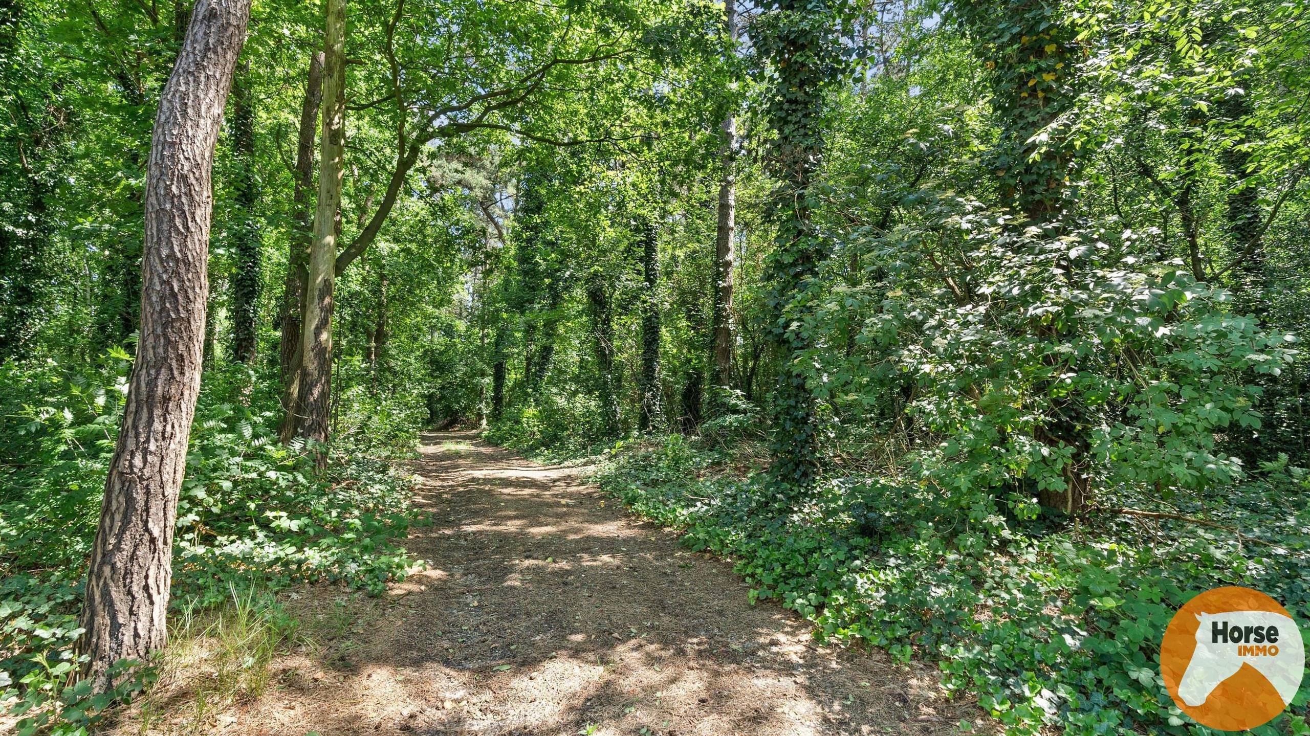 Terrain à vendre à Beverlo - photo 5