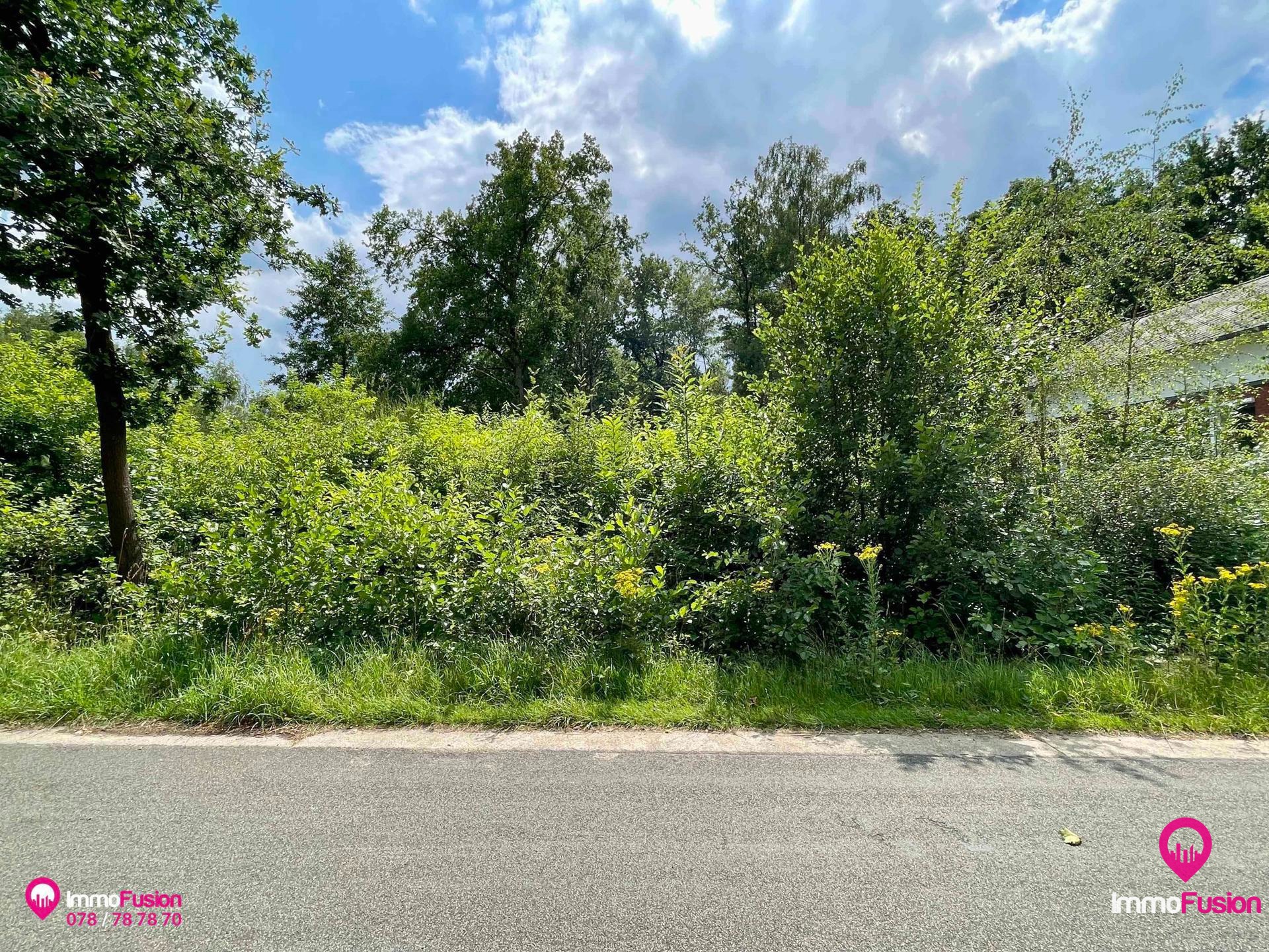 Prachtig gelegen bouwgrond voor OB met 17.2m straatbreedte! - foto 4