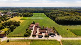 Hoeve te koop te Maria-Aalter met vergunning voor 580 zeugen, 2 beren, 389 andere varkens.<br />De milieuvergunning is nog geldig tot 25-10-2029 met mogelijkheden naar hernieuwing en omvorming.<br />Nog ruime veebezetting laatste jaren, zodat gunstige PAS-referentie.<br />Het bedrijf kan op mooie rechthoekige kavel van 1,20 ha of 4 ha gekocht worden.<br />Uitstekend gelegen hoeve, nabij dorp en bossen van Maria-Aalter, met ideale inplanting.<br />