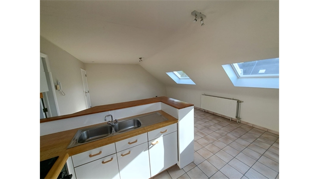 Een mooi gerenoveerd appartement met garage - foto 3