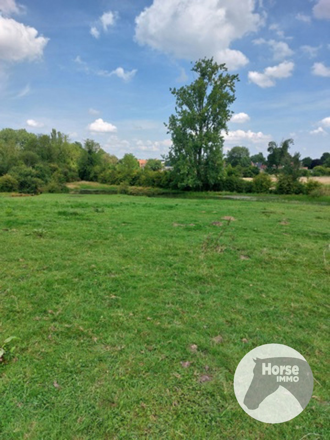 TONGEREN - Weide op +/- 1,5 ha - foto 5
