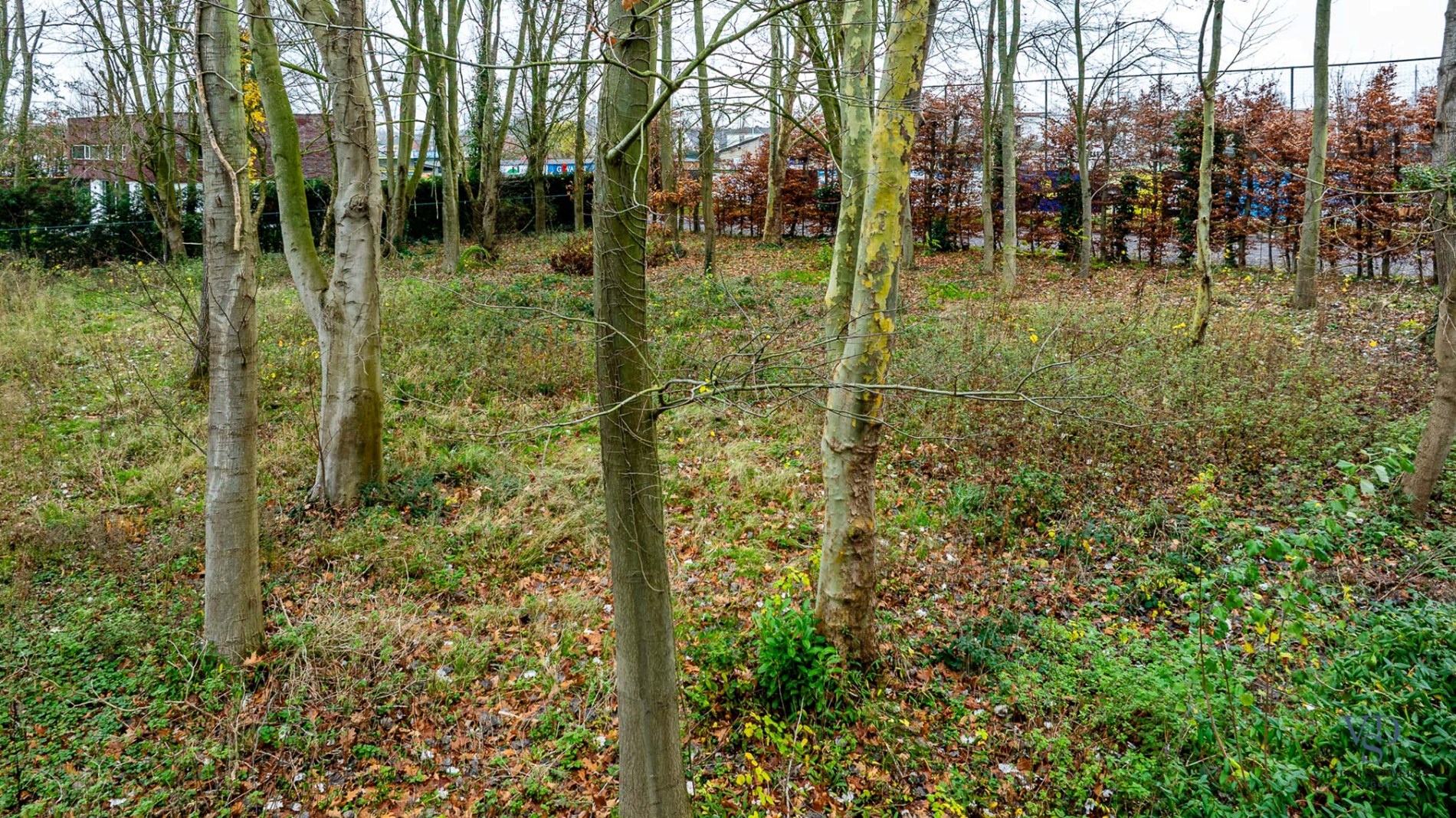 Terrain à vendre à Dikkelvenne - photo 4